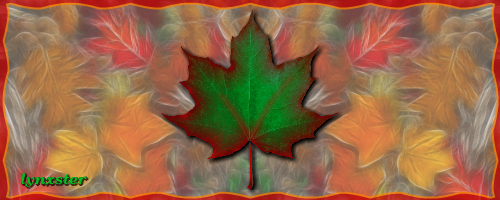 SOTW_247a.png