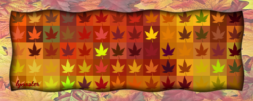SOTW_247b.png